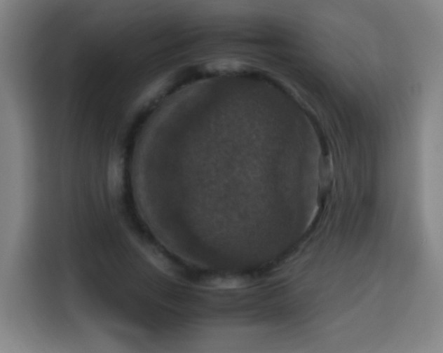 X0000113950735200910021505