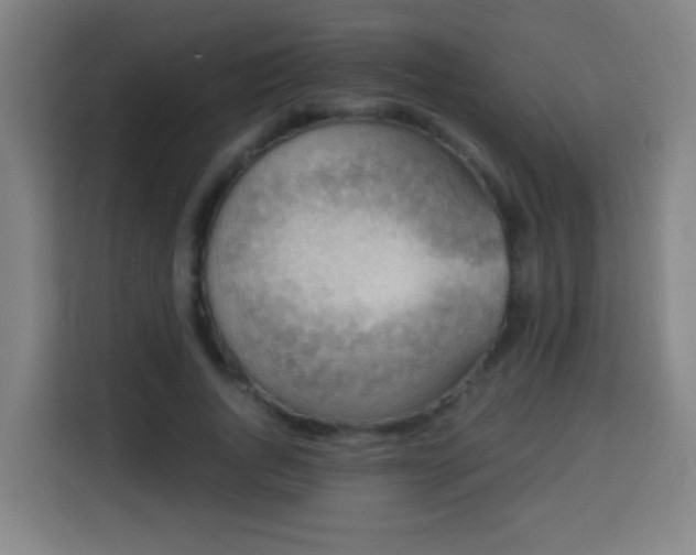 X0000113950736200910021505