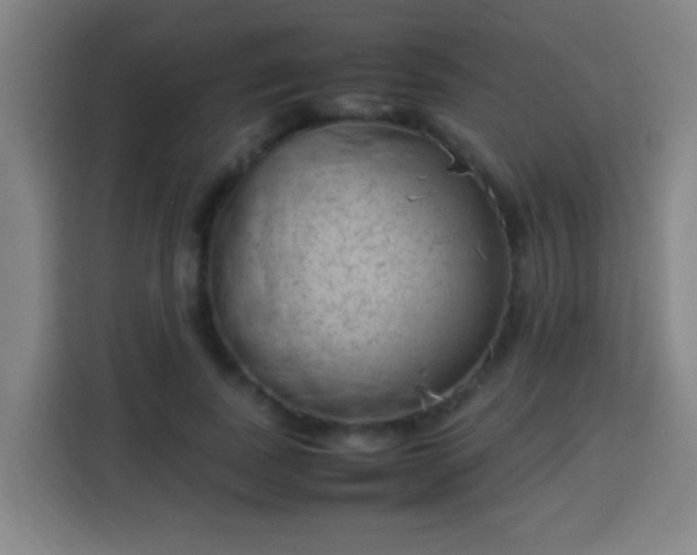 X0000113950739200910021505