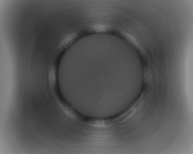 X0000113950740200910021505