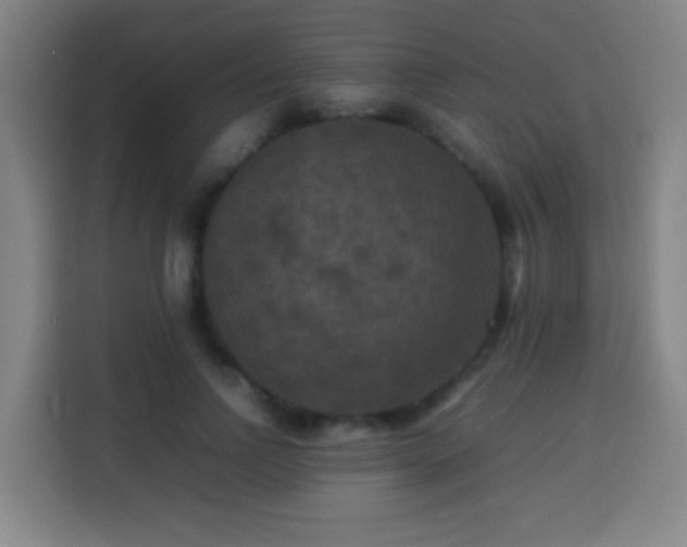 X0000113950742200910021505