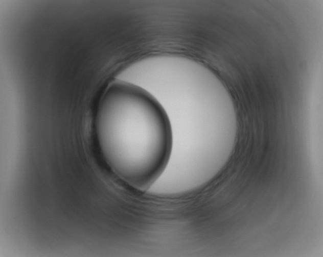 X0000113950744200910021505