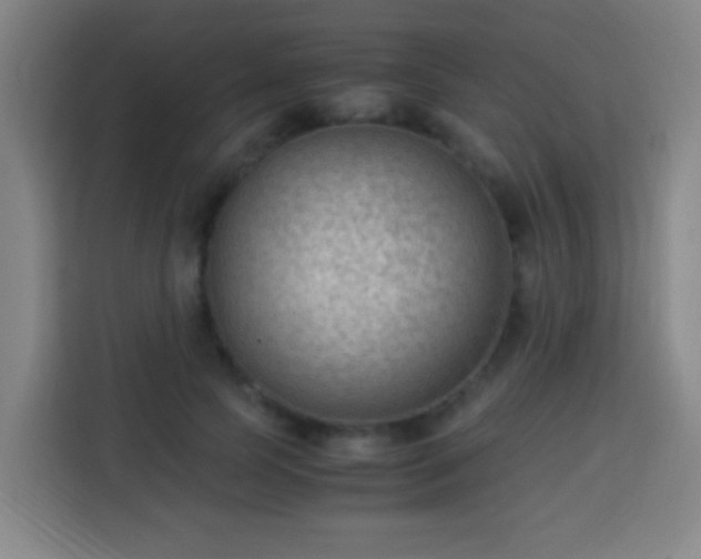 X0000113950745200910021505