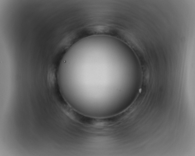 X0000113950746200910021505