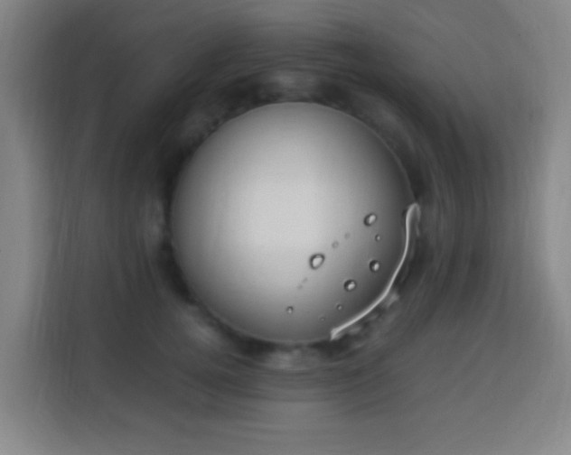 X0000113950752200910021505