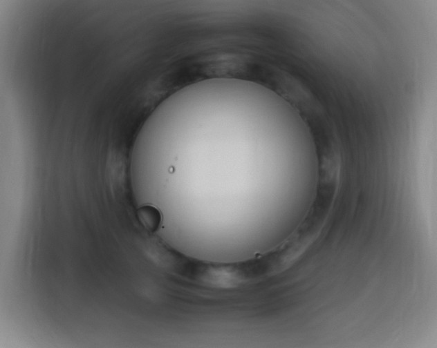 X0000113950753200910021505