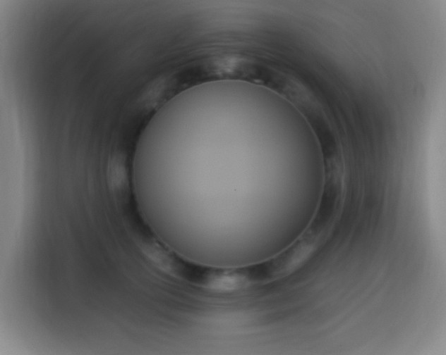 X0000113950754200910021505