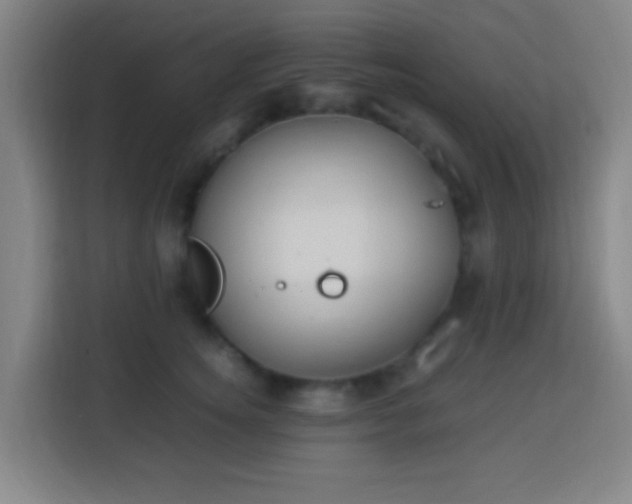 X0000113950756200910021505