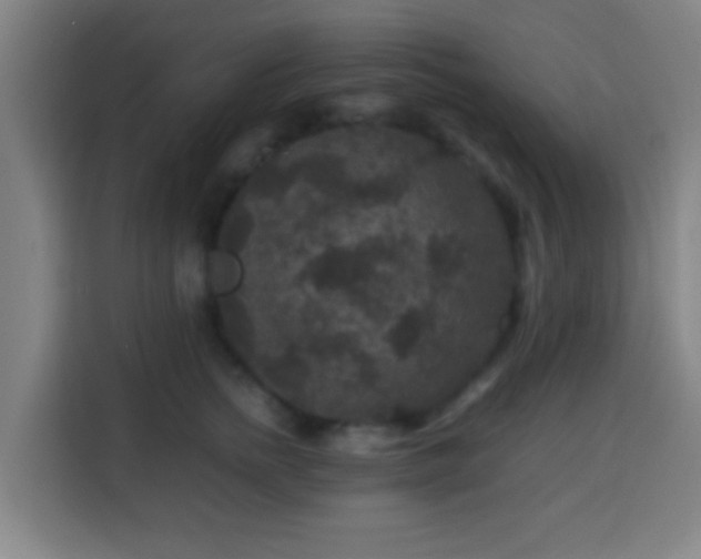 X0000113950758200910021505