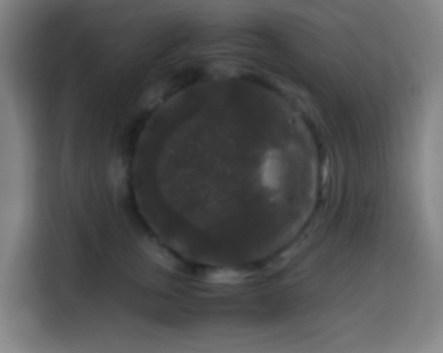 X0000113950759200910021505