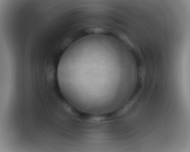 X0000113950760200910021505