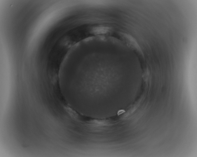 X0000113950763200910021505