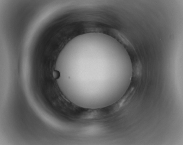 X0000113950764200910021505