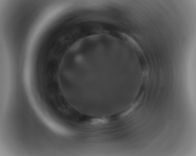X0000113950765200910021505