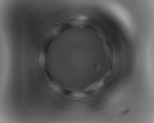 X0000113950767200910021505
