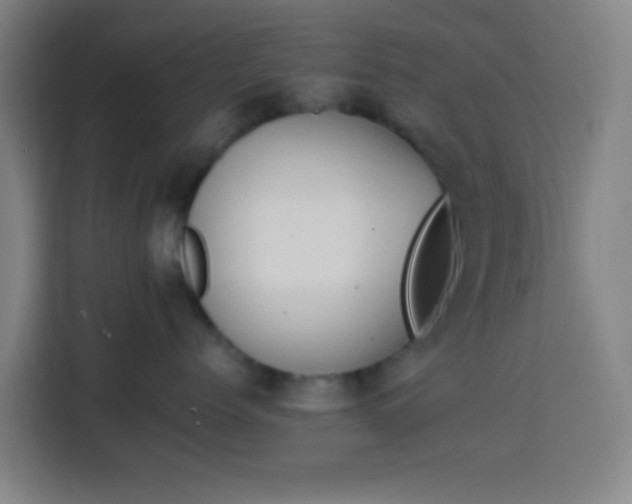 X0000113950768200910021506