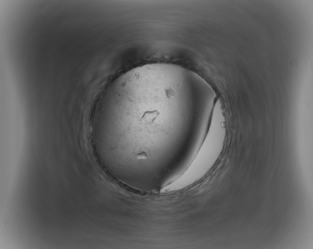 X0000113950769200910021505