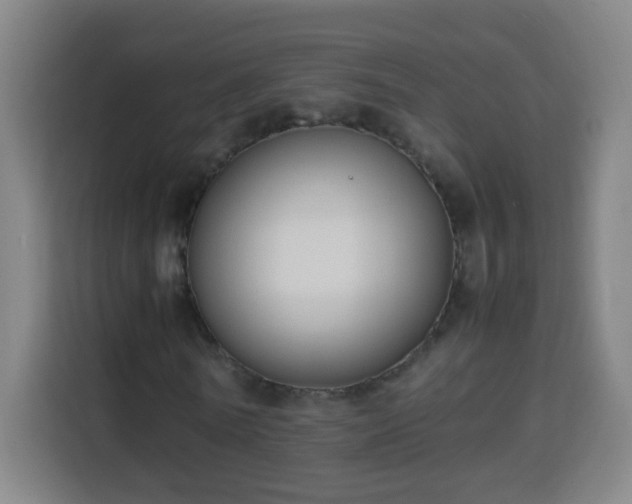 X0000113950770200910021505