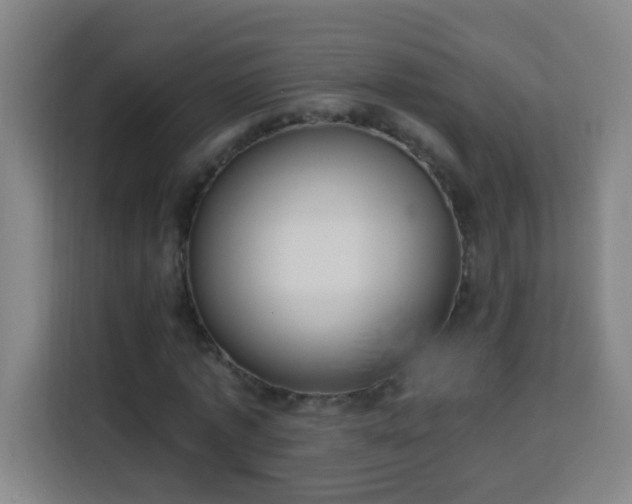 X0000113950773200910021505