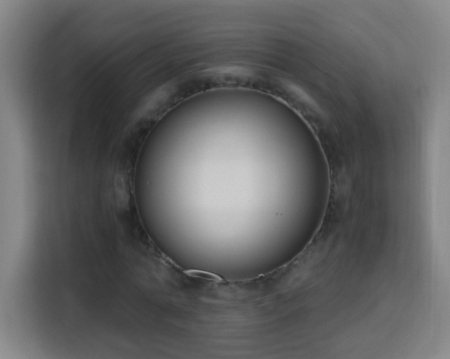 X0000113950774200910021505
