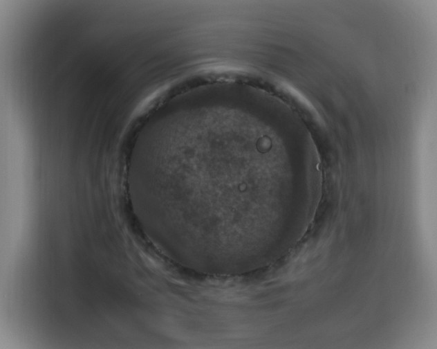 X0000113950775200910021505