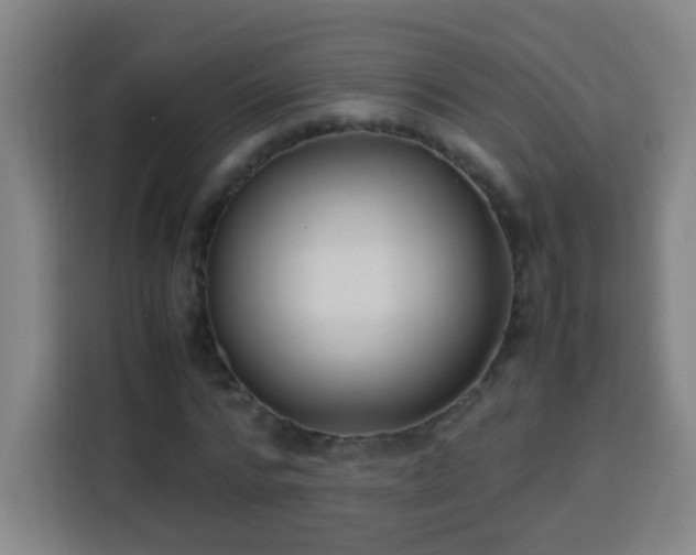 X0000113950776200910021505
