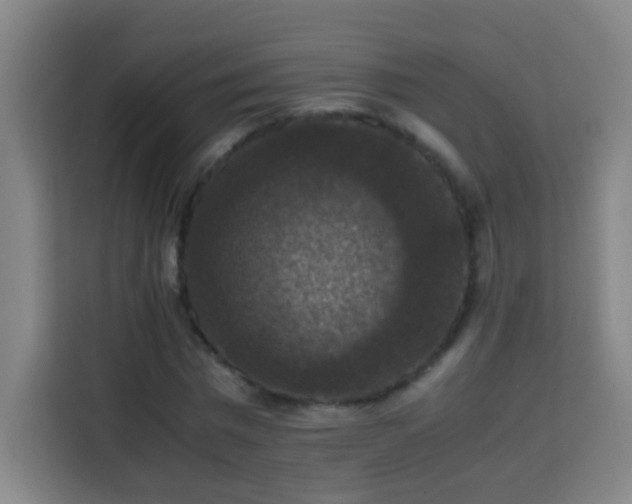 X0000113950777200910021505