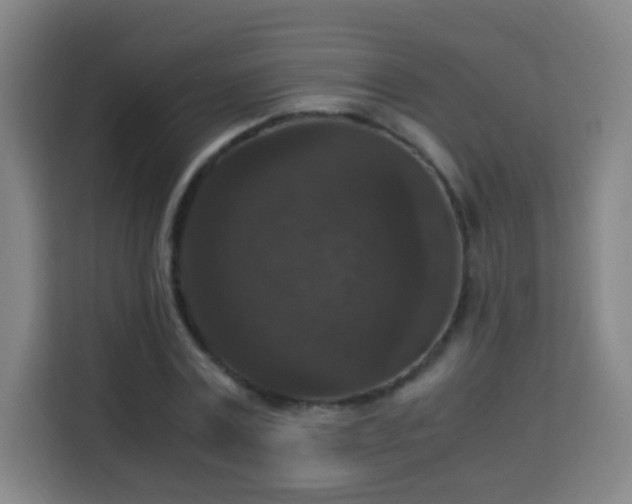X0000113950779200910021505