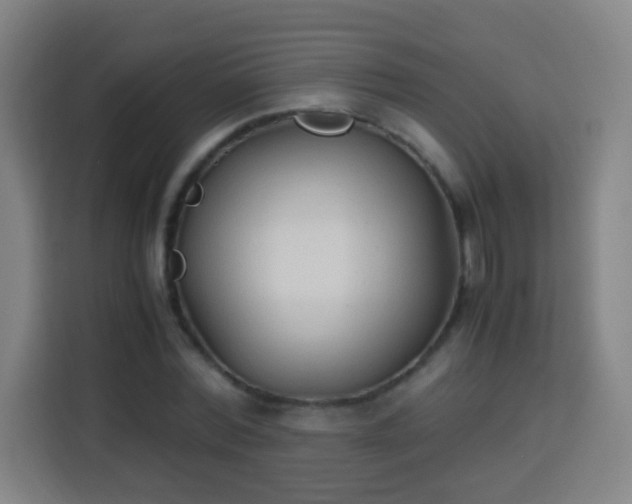 X0000113950780200910021505