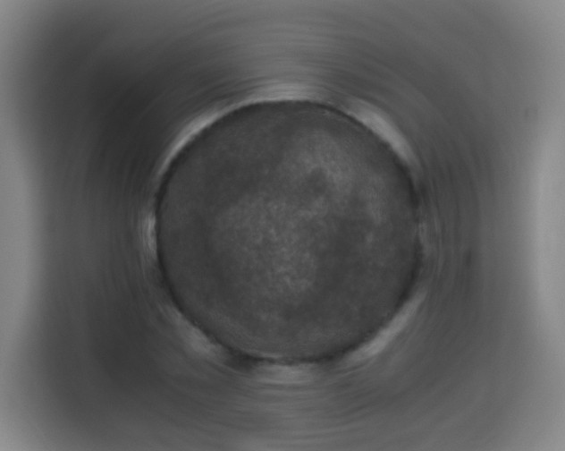 X0000113950781200910021505