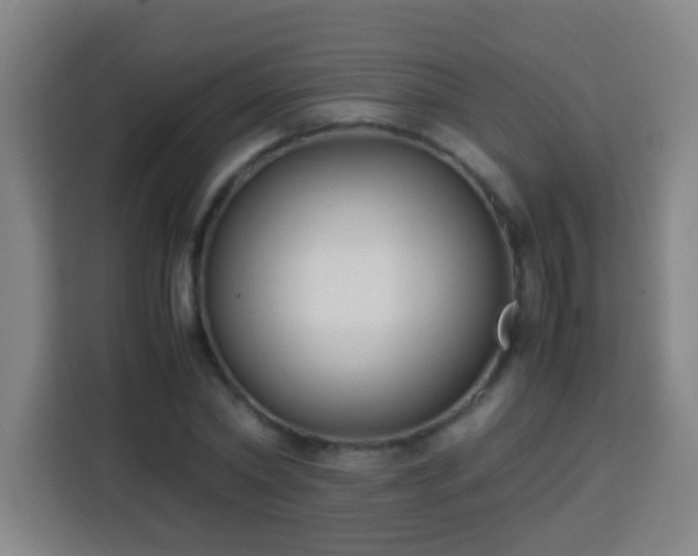 X0000113950782200910021505