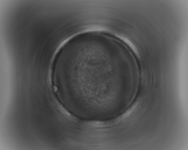 X0000113950783200910021505