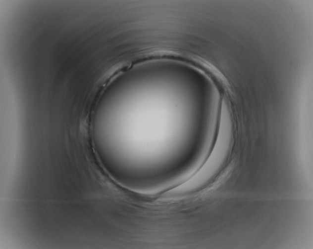 X0000113950785200910021505