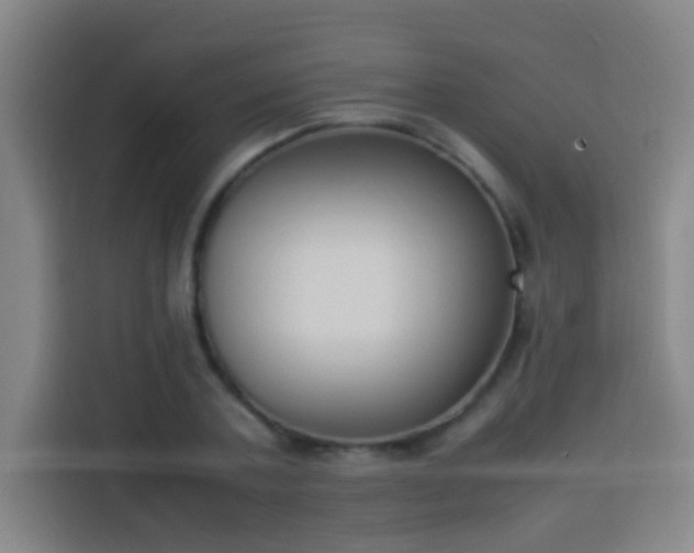 X0000113950787200910021505