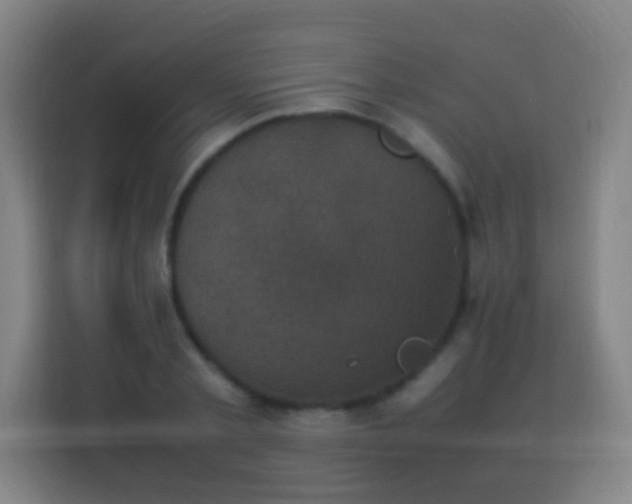 X0000113950789200910021505