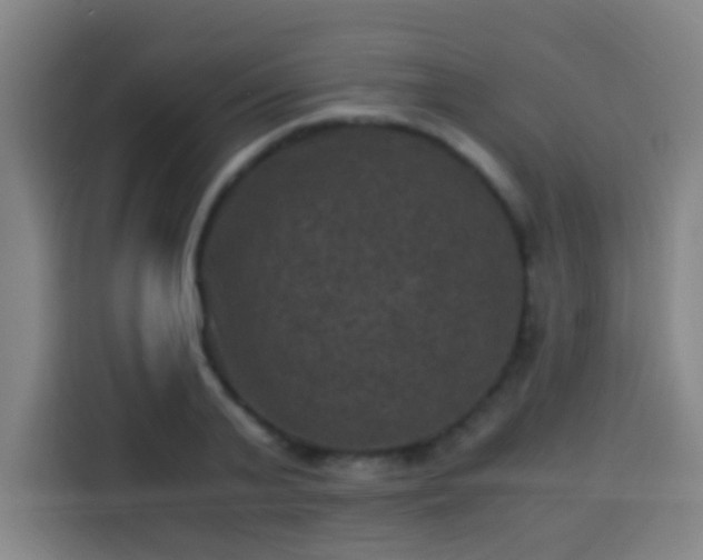 X0000113950791200910021505