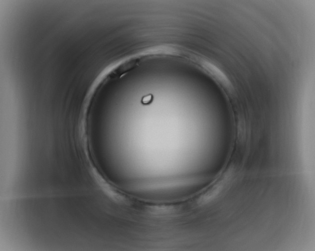 X0000113950800200910021504