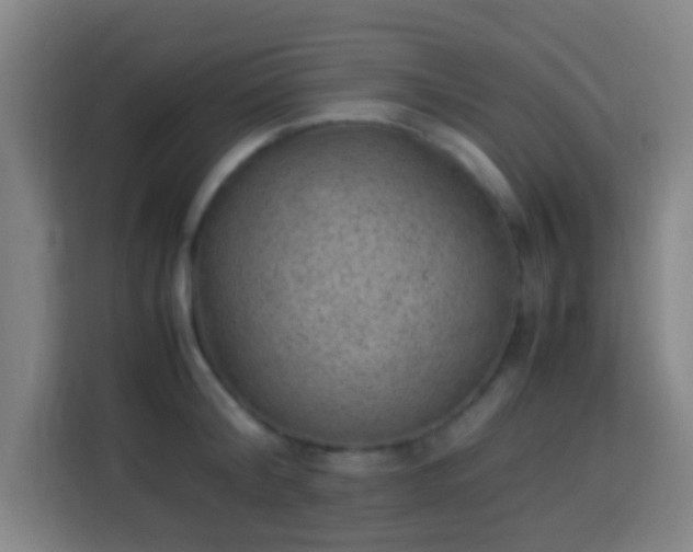 X0000113950804200910021504