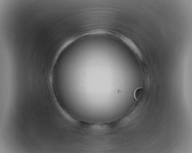X0000113950805200910021504