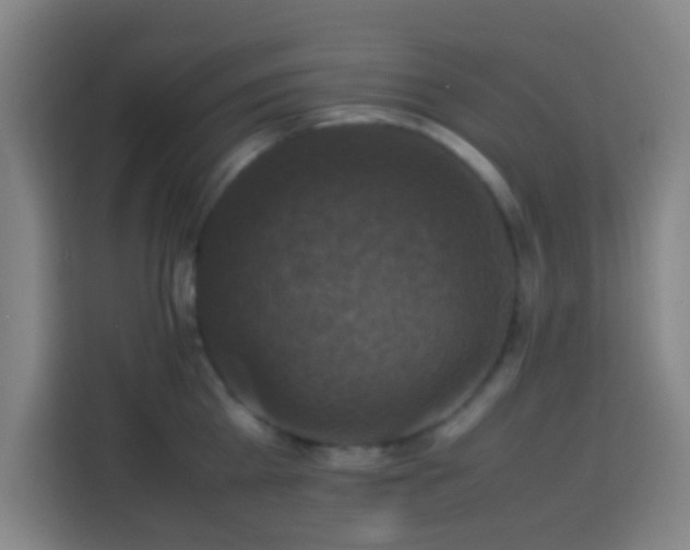 X0000113950809200910021504