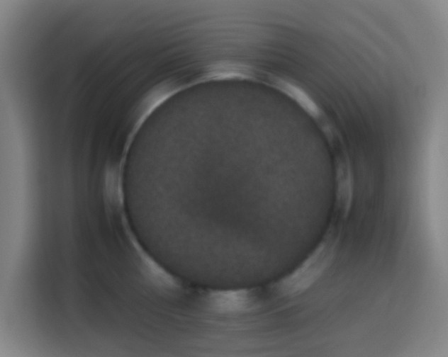 X0000113950810200910021504