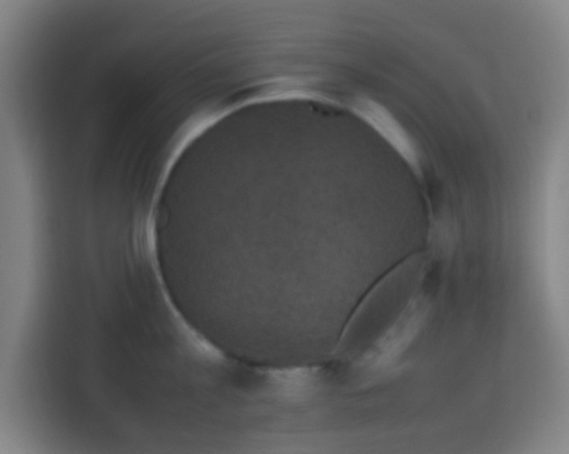 X0000113950813200910021504