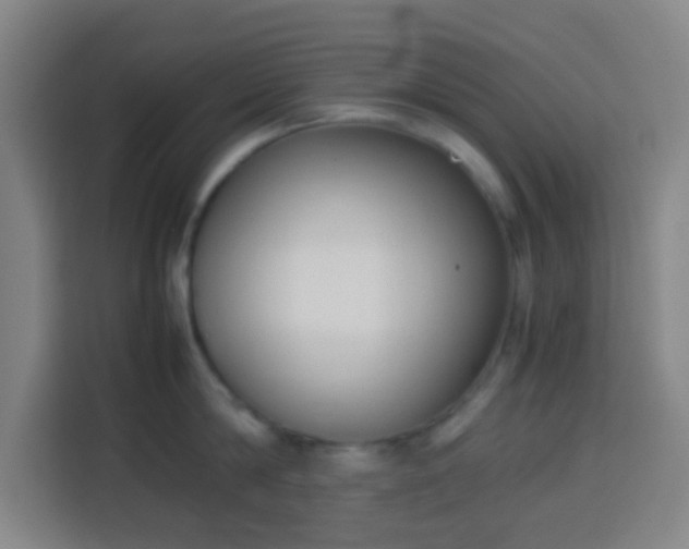 X0000113950814200910021504