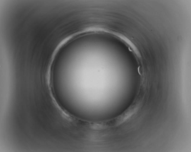 X0000113950815200910021504
