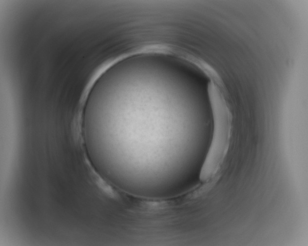 X0000113950816200910021504