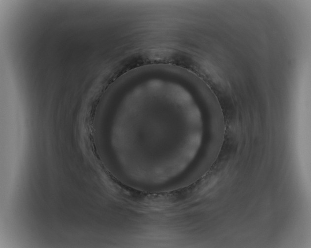 X0000113950817200910021504