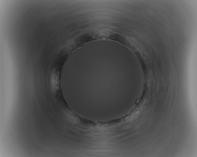 X0000113950818200910021504