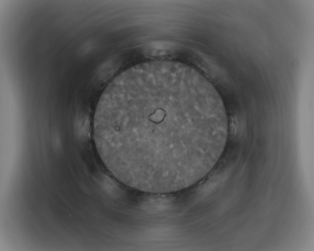 X0000113950820200910021504