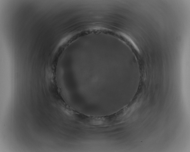 X0000113950823200910021504