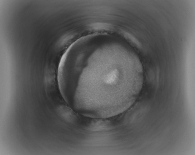X0000113950824200910021504